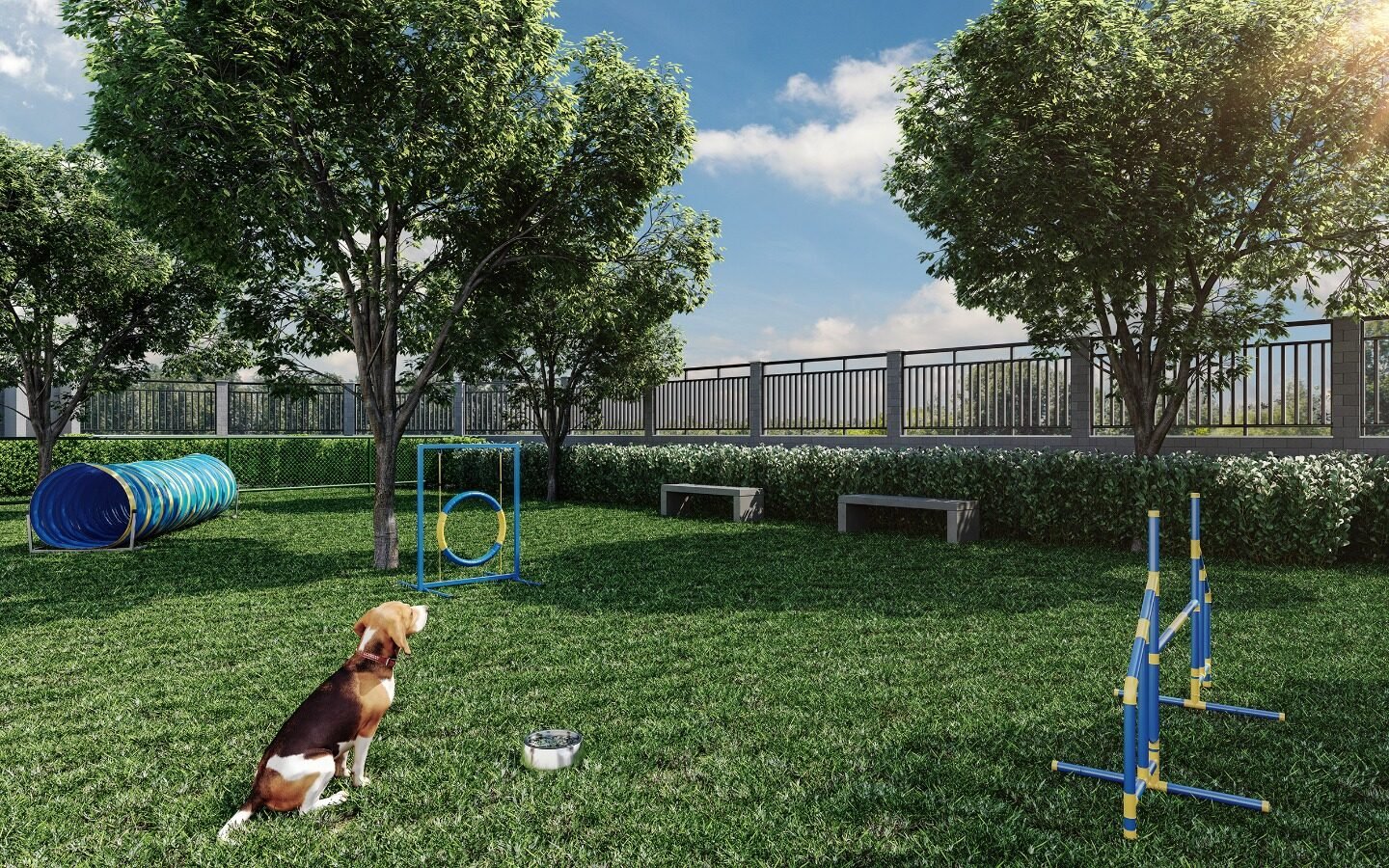 Pet place