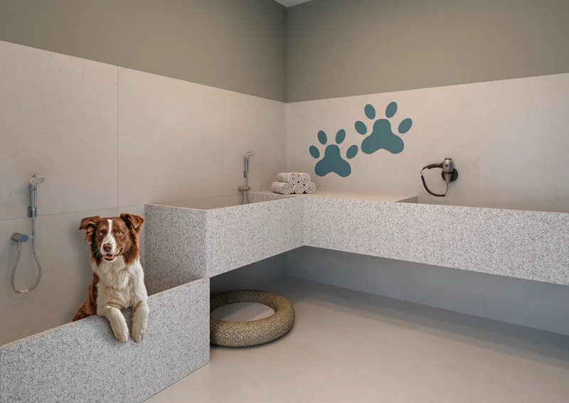 Pet care