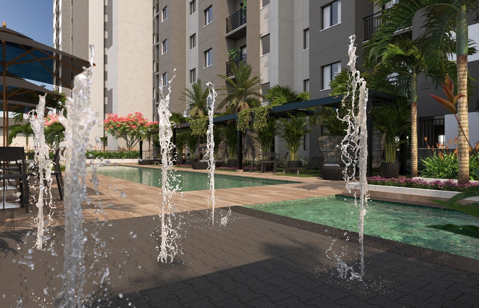 Living Wish Norte, imagem 12
