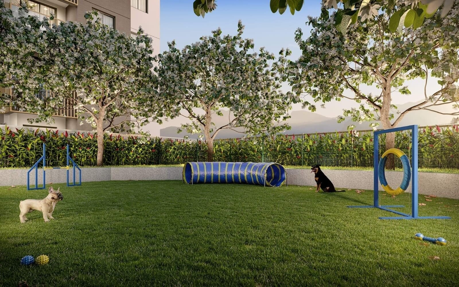 Pet place