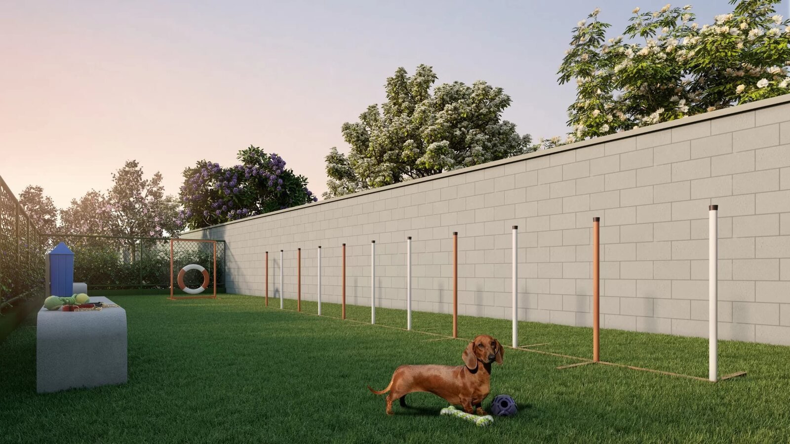 Pet place