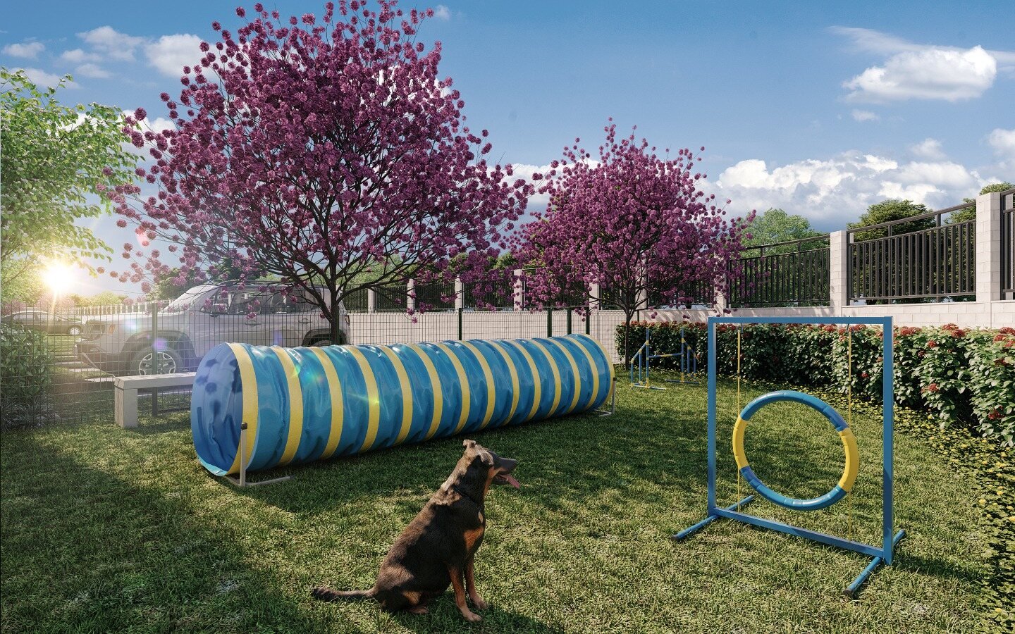 Pet place